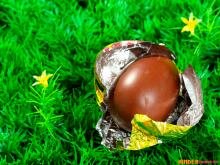 Яйцо в траве